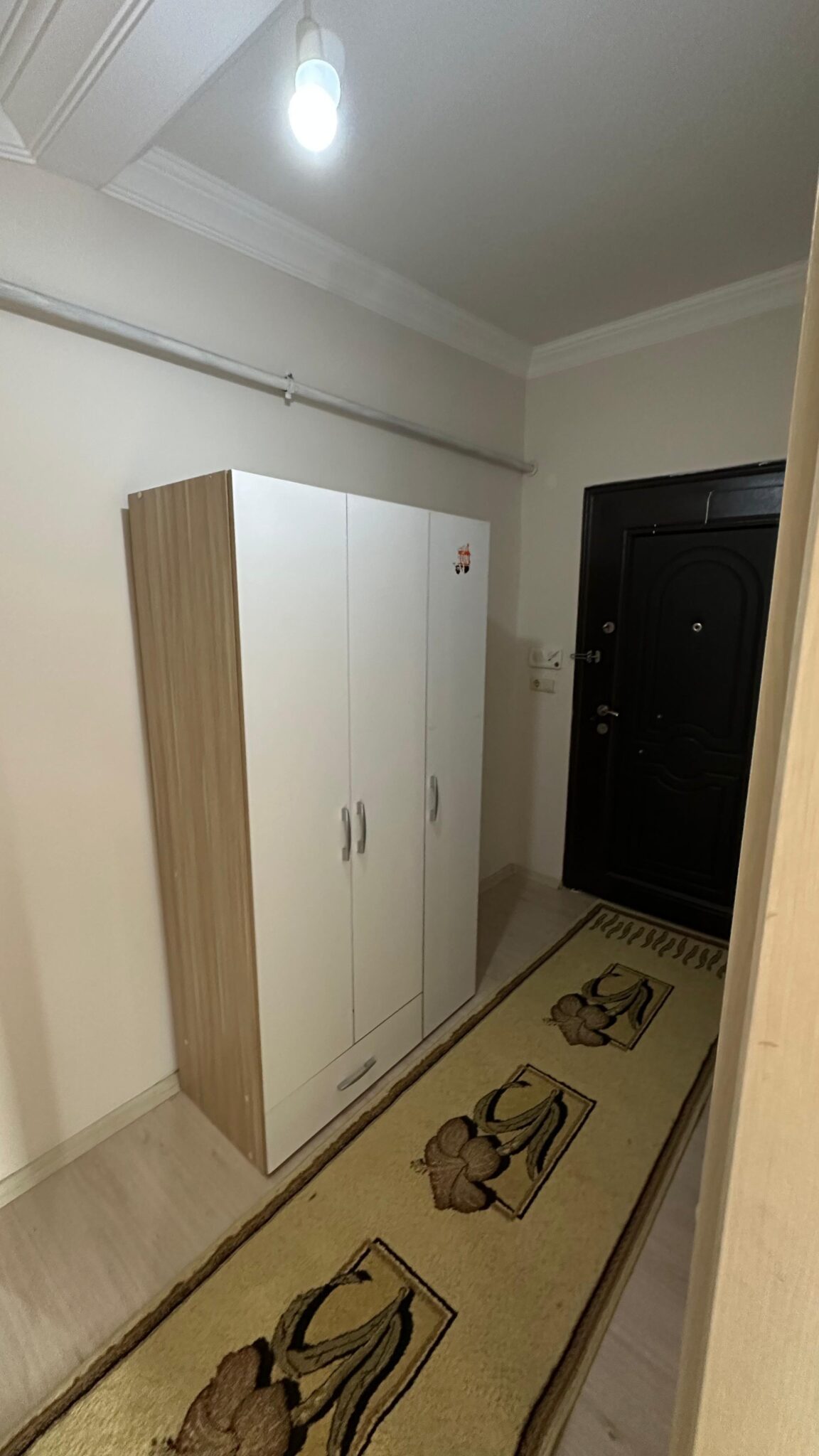 WhatsApp Image 2026-01-31 at 11.35.23 (1)