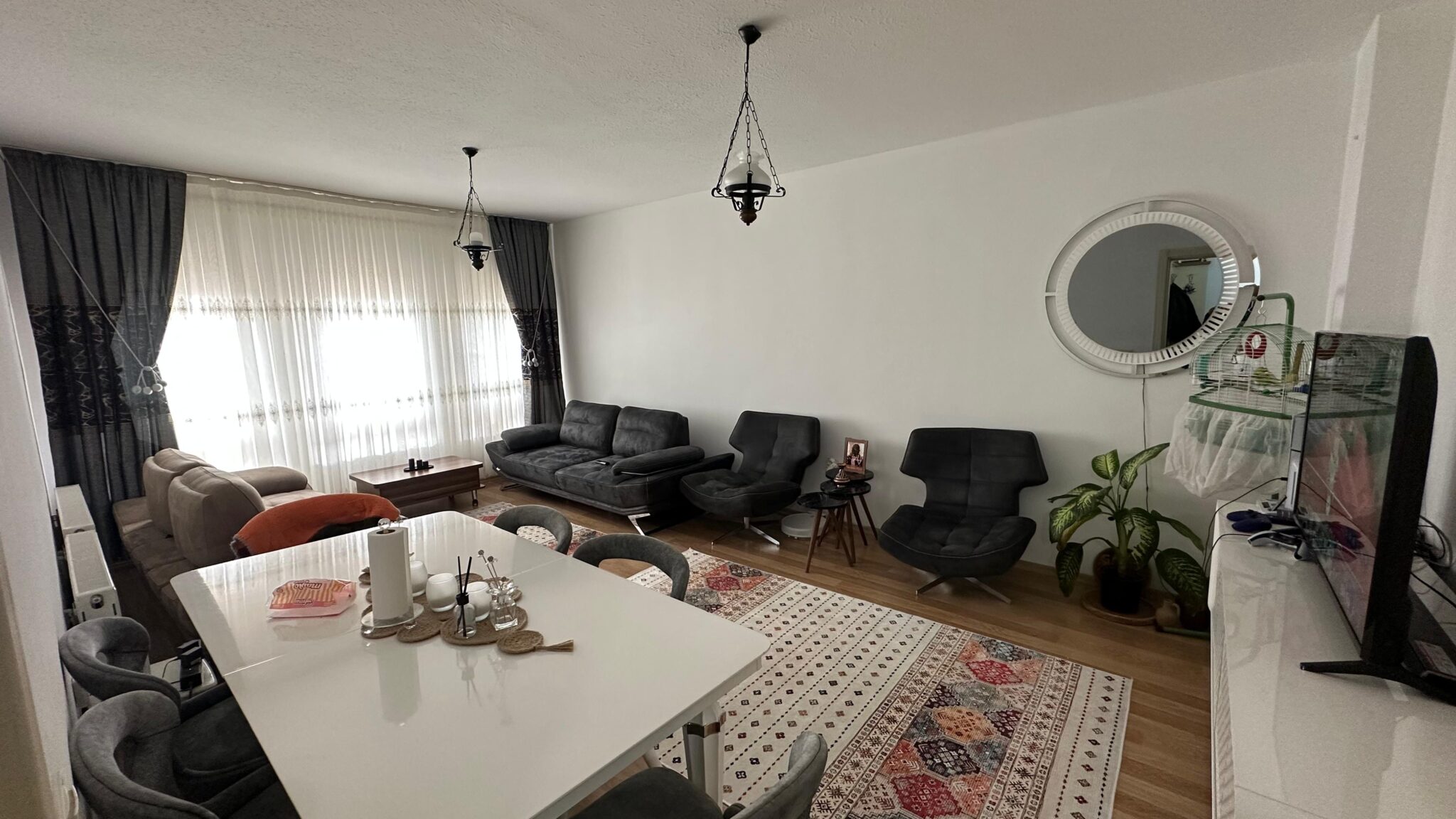 WhatsApp Image 2026-02-03 at 15.18.36